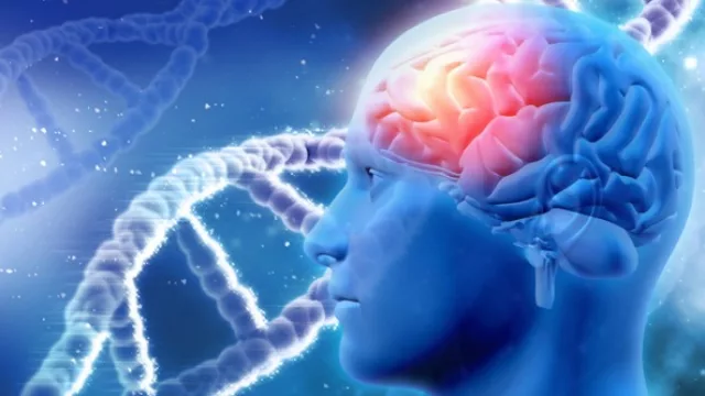 Llega la Jornada de neurociencias y educación a Villa Angela