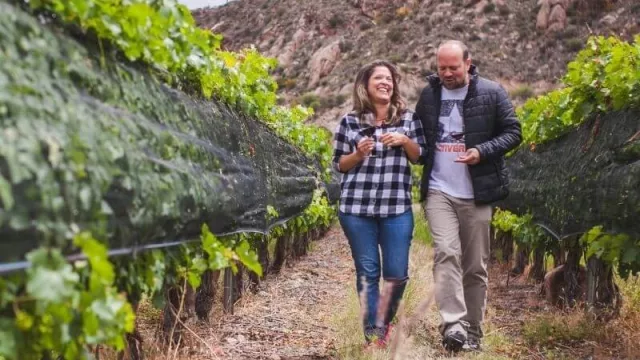 XV Evinor 2021: Porque no solo Mendoza produce buenos vinos en Argentina