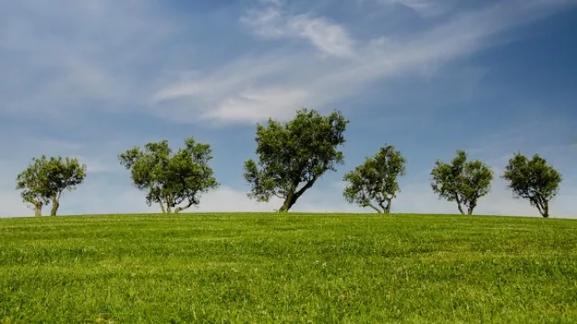 El BID financió actividades relacionadas con el cambio climático