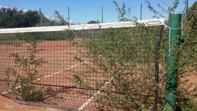 ¿Césped o polvo de ladrillo? La cancha de tenis de la urbanización de excelencia está inutilizable.