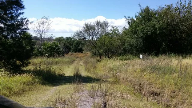 Los accesos a la cuarta etapa del emprendimiento están en medio del monte.