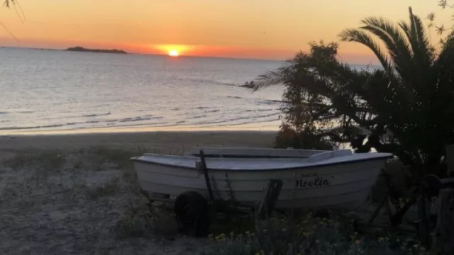 Colonia se prepara para llenar el 100% de sus plazas hoteleras este verano