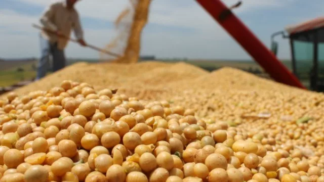 La participación del Estado en la renta agrícola se estabiliza en valores previos a la “guerra contra el campo”