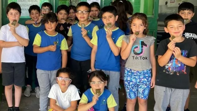 Alta Gracia: estudiantes innovan en la elaboración de helados de clorofila