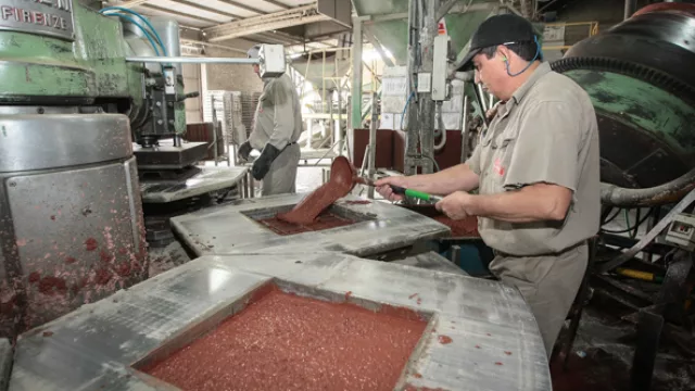 Manual y automático: en la planta conviven las dos maneras de cargar los moldes de los mosaicos.