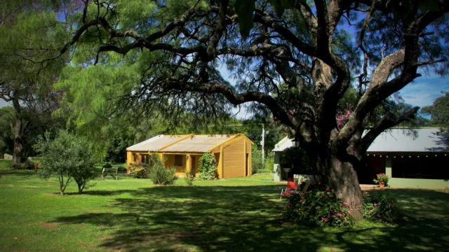 Desde las alturas de Traslasierra llega un aceite premiado por su calidad (Chacras de Luyaba, una empresa familiar de excelencia)