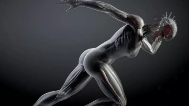 Buscan crear una población de avatares humanos (adultos y niños) para ensayos clínicos 