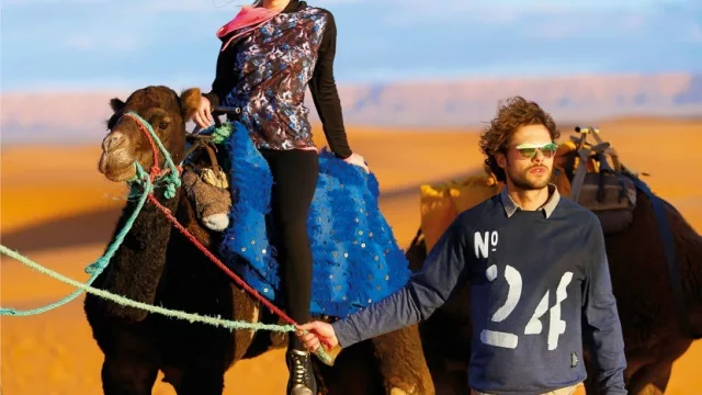 Desde el desierto del Sahara (y más allá) llega el catálogo de Vitnik con todo lo nuevo