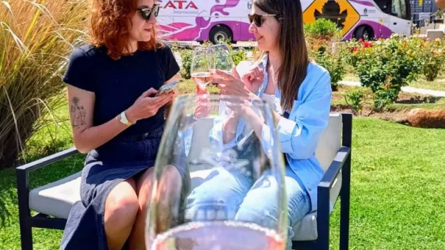 Bus Vitivinícola cerró el año reafirmando su liderazgo en el enoturismo mendocino