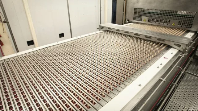 La más grande. Recorrimos la planta de Grido y conocimos la palitera más grande del mundo: 40.000 por hora (casi 12 por segundo).