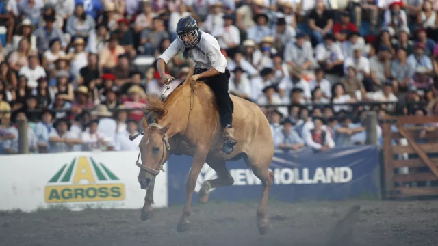 Jesús María está lista para el gran Festival de Doma y Folklore (una noche para cuatro all inclusive, $320.000)