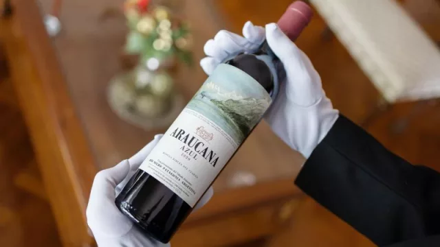 Ni de Mendoza ni de Salta: el vino más caro de la Argentina está en la Patagonia (y es un merlot)