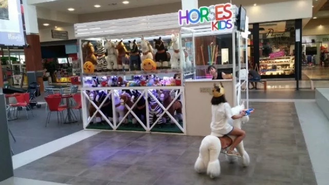 En el Paseo Rivera alquilan hasta 80 unidades de lunes a jueves.