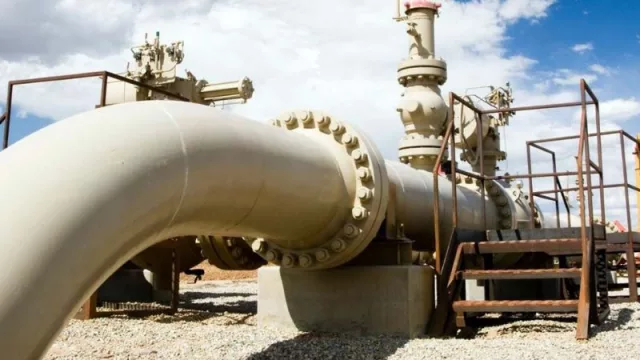 Saesa impulsa exportaciones bioenergéticas argentinas al mercado internacional