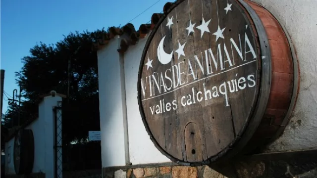 La bodega Animaná busca diversificarse a través del turismo y de otras bebidas