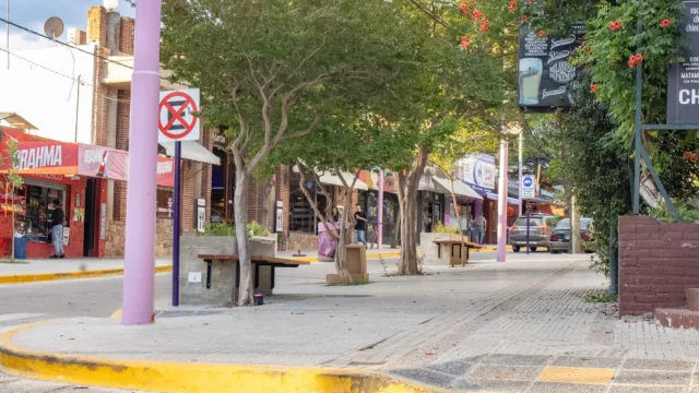 Impacto del Presupuesto 2025 y aumento de tasas en el comercio de Mina Clavero (Adaptación o Riesgo)