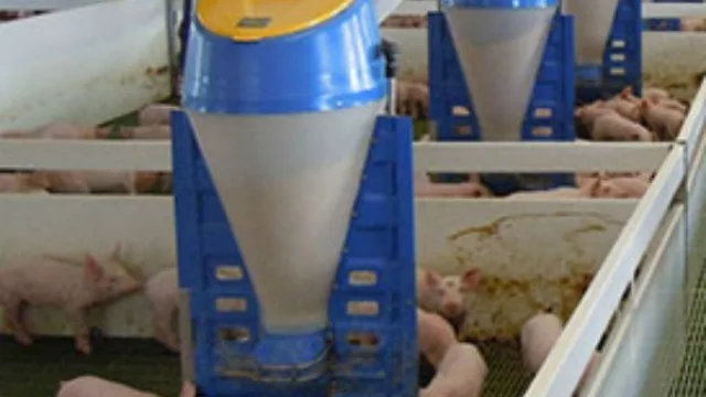 Invertirán $ 640 millones en una megagranja de 5.000 cerdos en Noetinger (impacto en todo el sudeste cordobés)