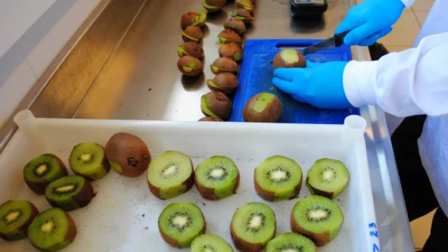 Mar del Plata cerca de alcanzar un nuevo estándar de calidad en frutas y hortalizas