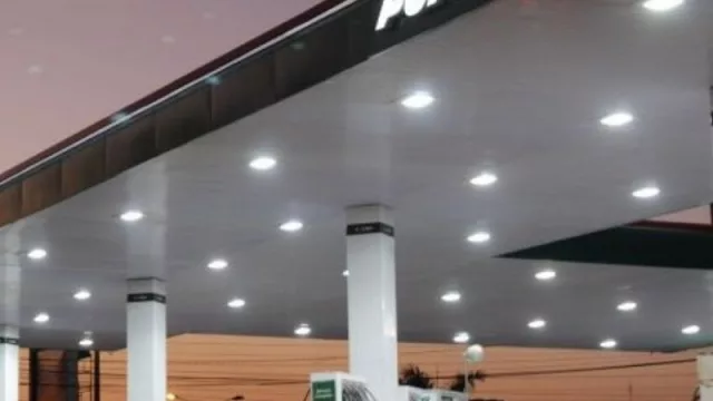 La petrolera Puma Energy se encargará del mantenimiento óptimo de los vehículos Kia Argentina (la unión hace la fuerza en la industria automotriz)