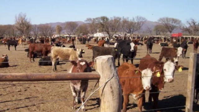 Córdoba hace punta en norma sustentable para tambos, feed lots y avícolas (abre puerta de mercados top)