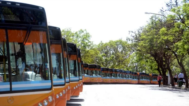 Mestre presentó 67 nuevos colectivos