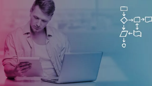 IT, programación, diseño, multimedia, traducción y contenidos, las actividades más requeridas.