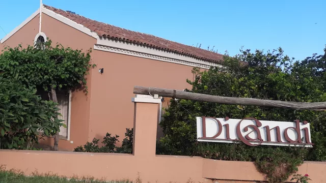 El domingo 9 de marzo se pisa uva y se hace vino patero. Una bodega de Caroya propone la experiencia completa en plena vendimia