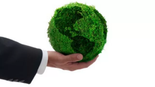 Vos dirías que la empresa donde trabajás está regida (y en qué orden) por estos principios: