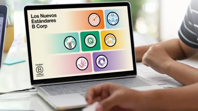 En Argentina ya hay 244 Empresas B certificadas y 15 están en la provincia de Córdoba (cuáles son y por qué son “B”)