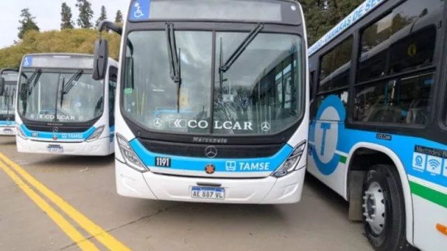 Este domingo 14 el Transporte Urbano será gratuito
