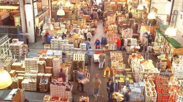 En los últimos dos meses, ¿hiciste compras para tu hogar en algún mayorista?