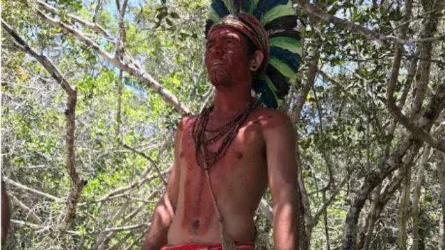 Porto Seguro espera cerrar el año con 40.000 argentinos (20% más en 2017 con vuelos directos)