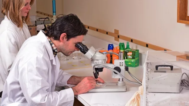 Johnson donará más de un millón de Off y Autan a familias de Argentina