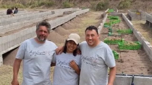 Es la especia más cara del mundo y se produce en Río Primero (la llaman el oro rojo)