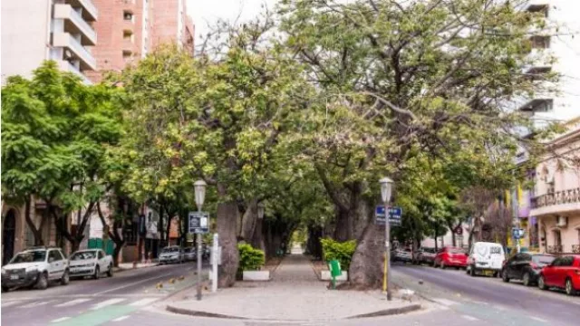 Corte total en un tramo de Boulevard Chacabuco, para filmar una película