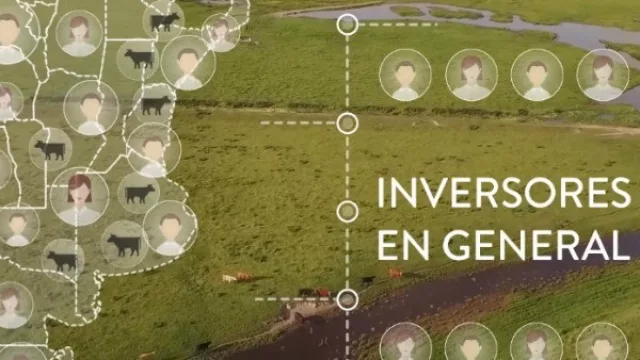 Las cuotas son de nosotros… las vaquitas… ¡también! (Círculo de Ganado, plan de ahorro previo en hacienda)