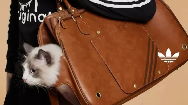 ¿Pet marketing o estrategia de branding emocional? El nuevo juego de Adidas Originals