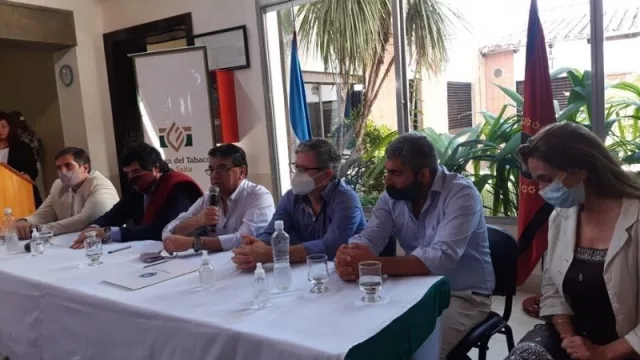 Tabacaleros salteños aseguran que no pretenden quedarse con el negocio de la producción de cannabis en la provincia