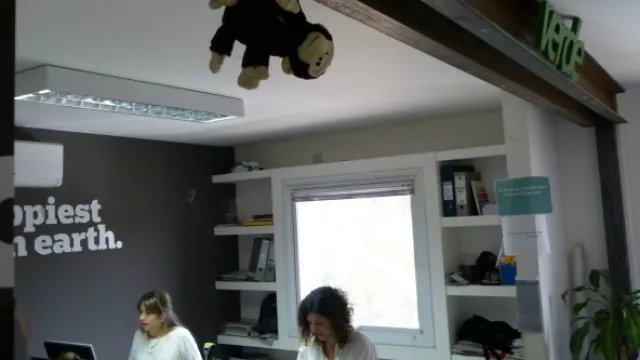 El mono, uno más en el equipo de cuentas.