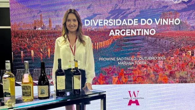 Brasil consolida su mercado de vinos (y alcanza casi R$ 4 mil millones en ventas en el 1° trimestre de 2025)