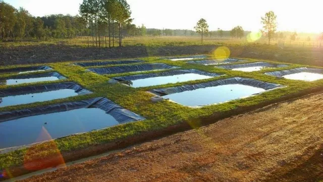 Diversificación, innovación, alianzas clave y desarrollo tecnológico (la nueva apuesta de Rosamonte)