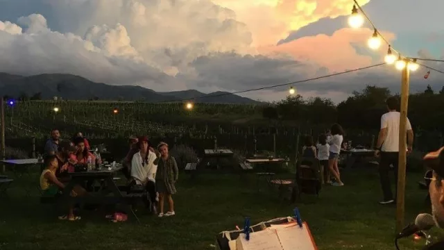 Nébula, el viñedo punillense, empieza a embotellar y redobla la apuesta: inaugura anfiteatro (y se sube a la organización de bodas)