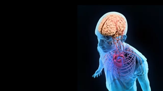 Nuestro cerebro no piensa (y el de usted, tampoco): desmontando una falacia mereológica