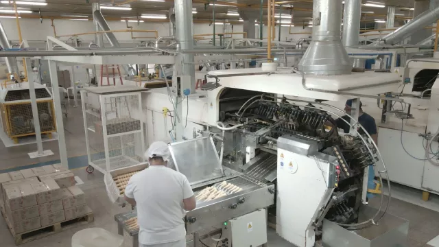 De distribuidora familiar a gigante nacional: Biocups produce 45.000 cucuruchos por hora (“primos” de Grido, abastecen a Arcor, Freddo y más)