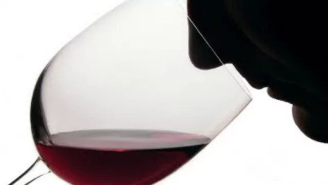 Conociendo el mundo del vino de la mano de dos expertos del INTA