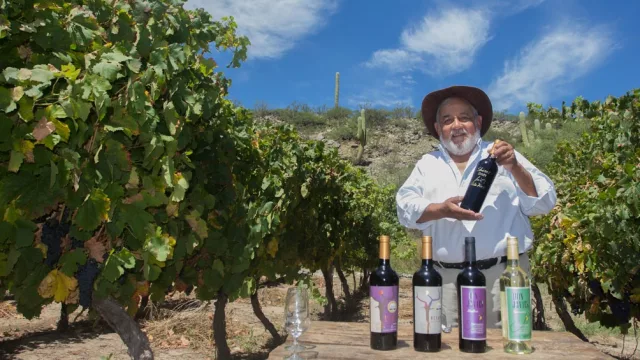 Tucumán impulsa el desarrollo económico con su Ruta del Vino de Altura (agenda turística y presencia nacional)