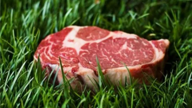 ¿Sabías que la carne puede ser orgánica?