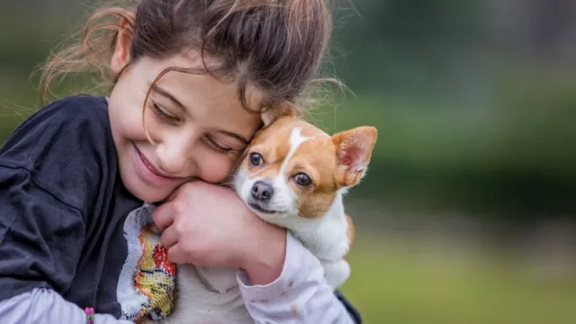 Los perros comen cada vez más presupuesto en las familias (¿sabías que ahora hay que cepillarle los dientes también?)