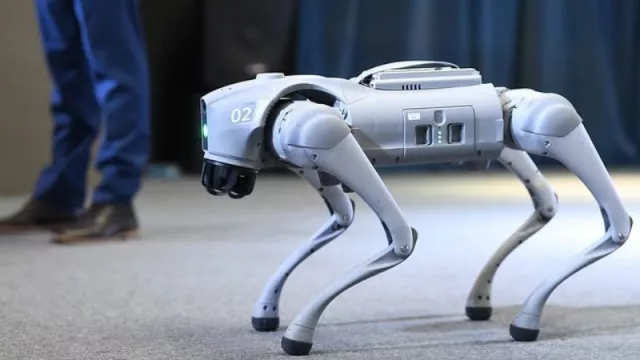 Los perros robots llegaron a Córdoba: qué hacen los cuadrúpedos inteligentes que ya patrullan la ciudad (AiphaG prepara su primera “concesionaria”)