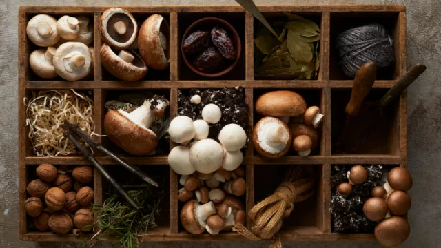 Hongos del Pilar se expande en Córdoba, Mendoza y Santa Fe (y buscan nuevos aliados comerciales)